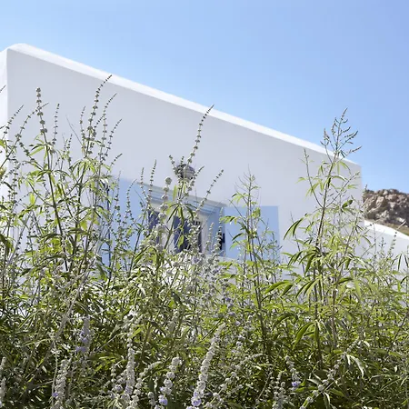 Szálloda Mediterranean Sztelída